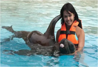 Sea Lion Interactive in Cozumel — 2