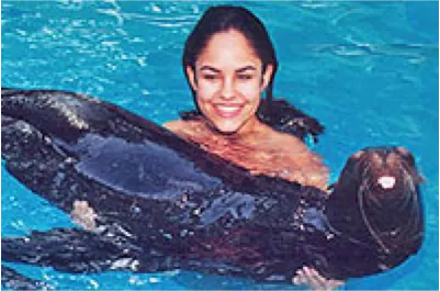 Sea Lion Interactive in Cozumel — 3
