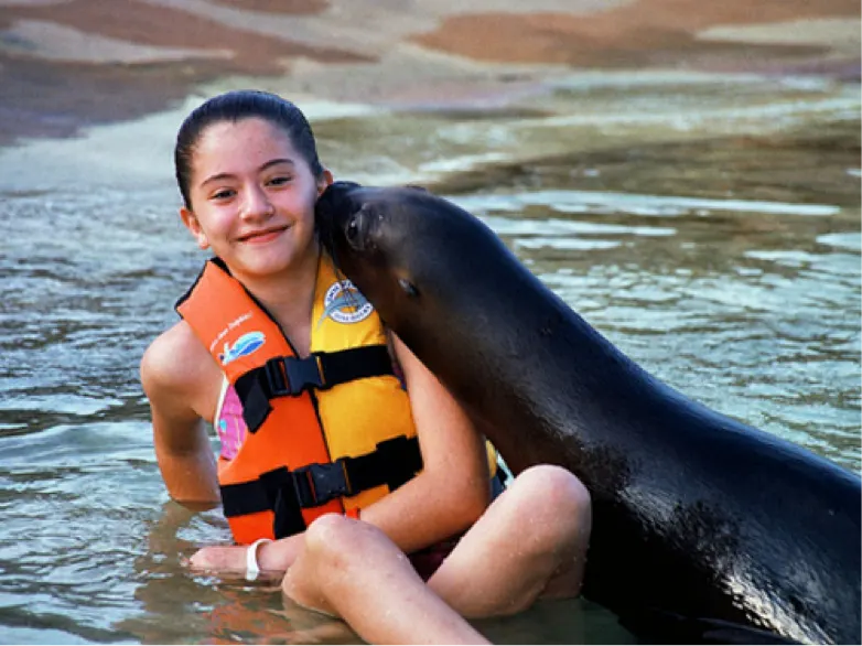 Sea Lion Interactive in Cozumel — 4
