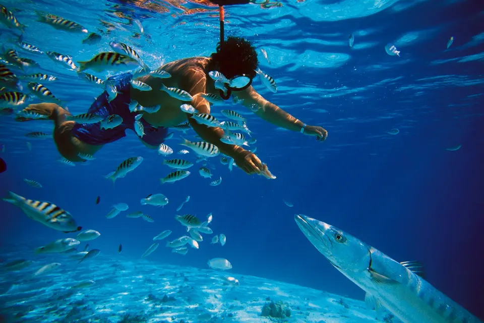 Cozumel with Snorkel & Chichen Itza Cenote — 2