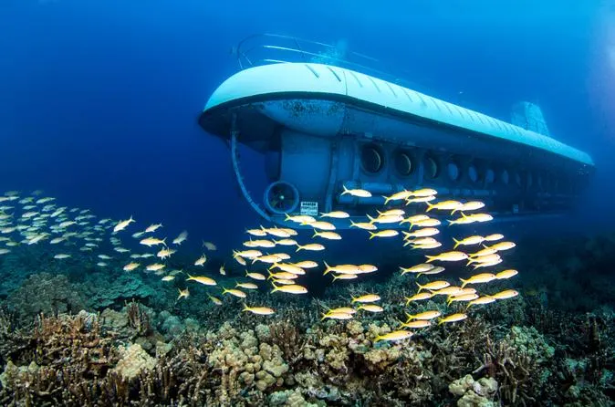 Cozumel & Atlantis Submarine Tour — 3