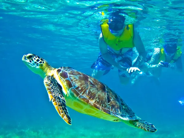 Tulum - Akumal & Swim with Turtles — 4