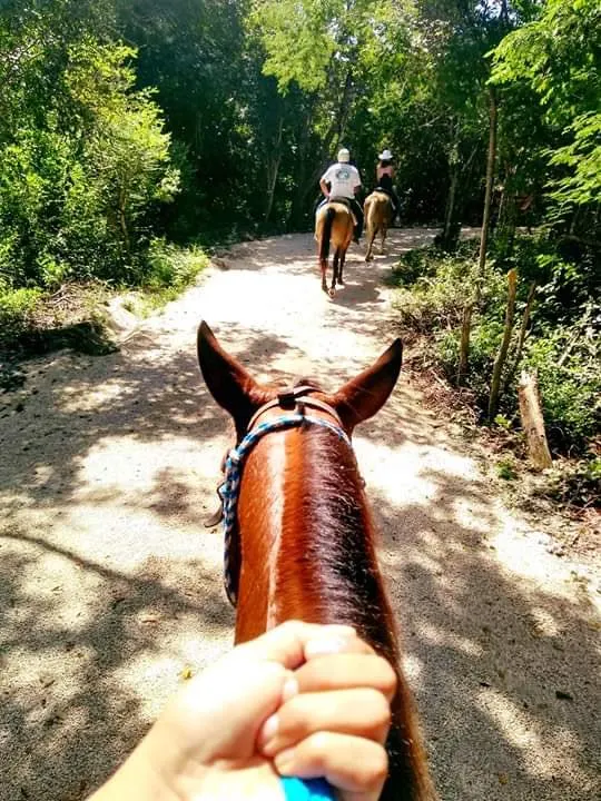 Extreme Horses Tour (Double)