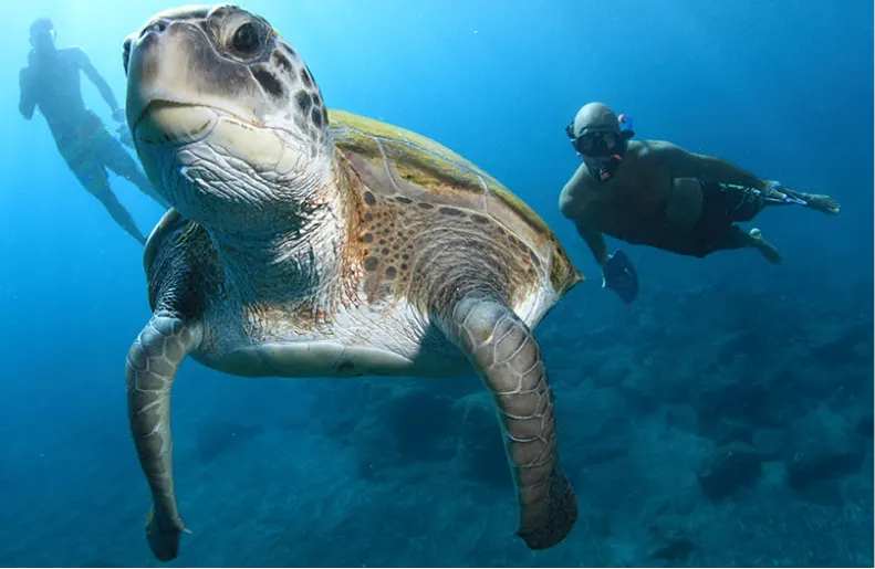 Snorkel Xtreme and Adventure in the jungle (DOUBLE) — 5