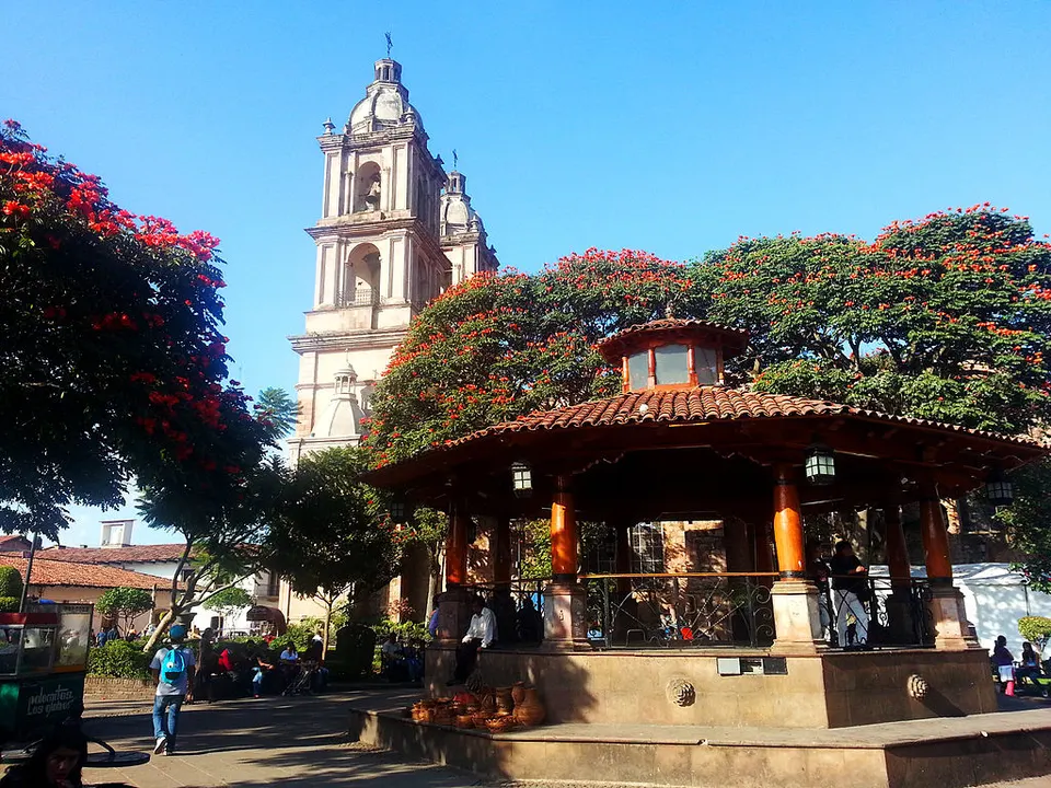Monarch Butterfly & Valle de Bravo — 5
