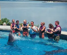 Dolphin Splash in Cancun, Puerto Morelos or Riviera Maya — 4