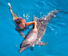 Dolphin Splash in Cancun, Puerto Morelos or Riviera Maya — 2