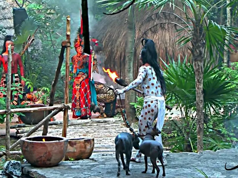 Xcaret Plus Tour Two Days
