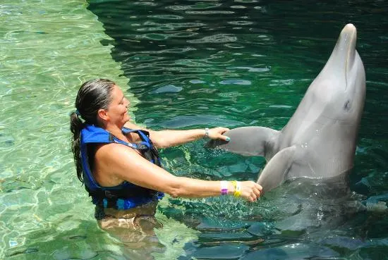 Dolphintour Primax 6 with Xcaret — 3