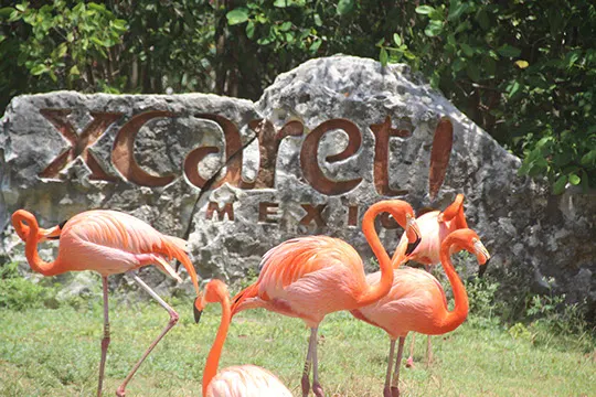 Tour Xcaret Plus
