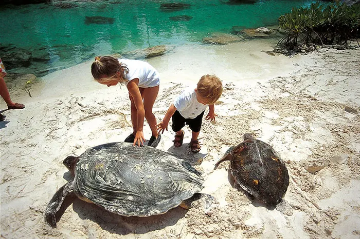 Xcaret Basic Tour Two Days