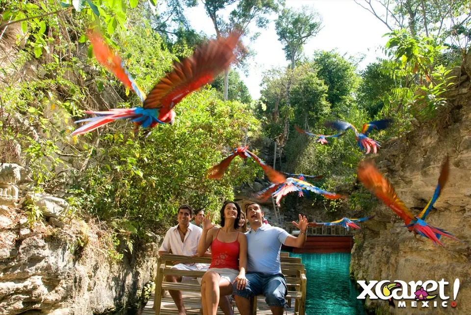 Private Van to Xcaret — 3