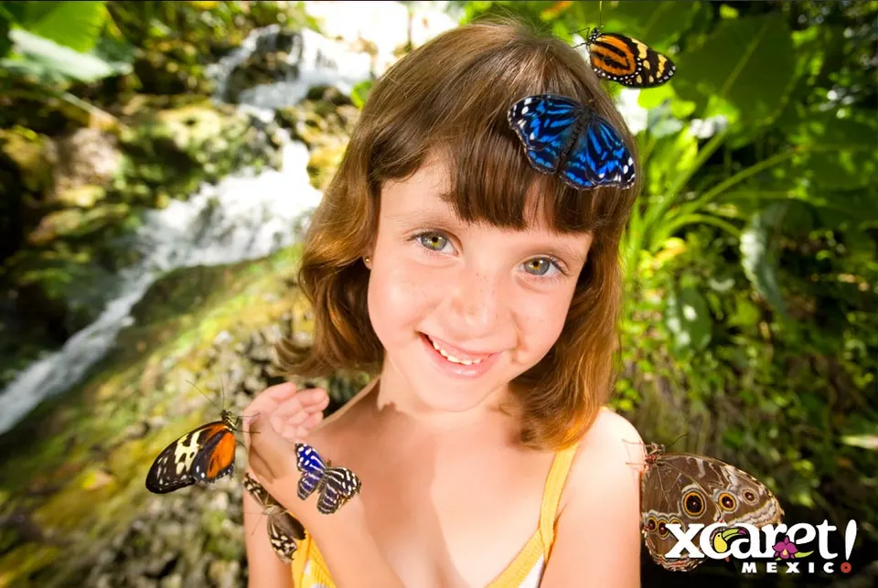 Xcaret Basic Tour