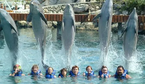 Dolphintour Primax 6 with Xcaret