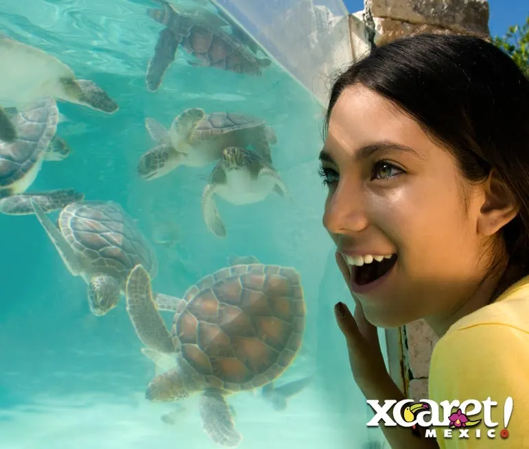 Xcaret Basic Tour — 5