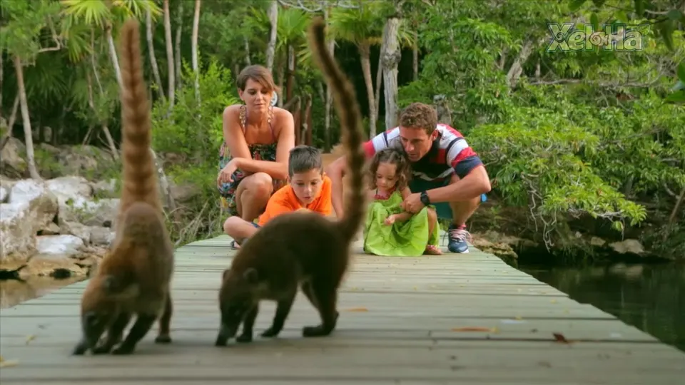 Xel-Ha ALL Inclusive Tour — 5