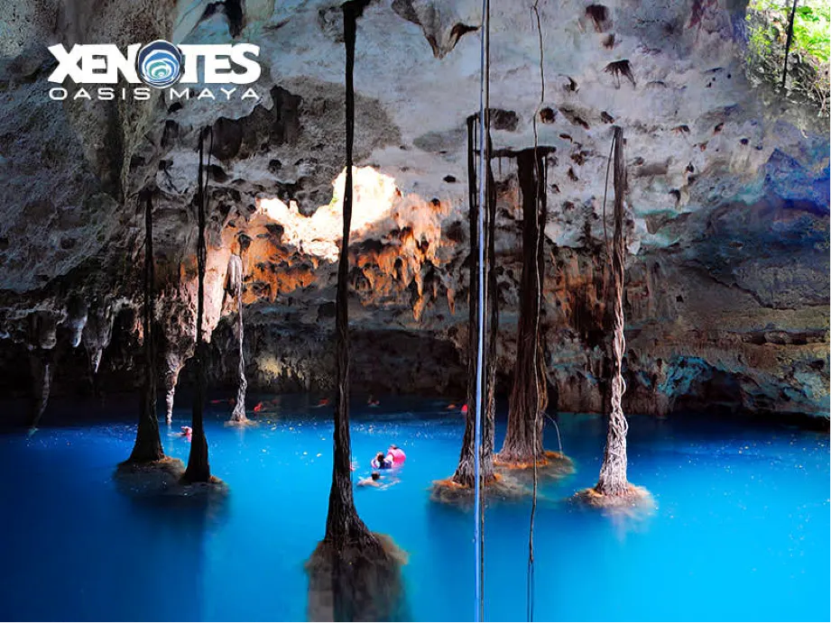 Xenotes — 5